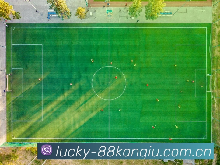 88看球实时数据监控大屏